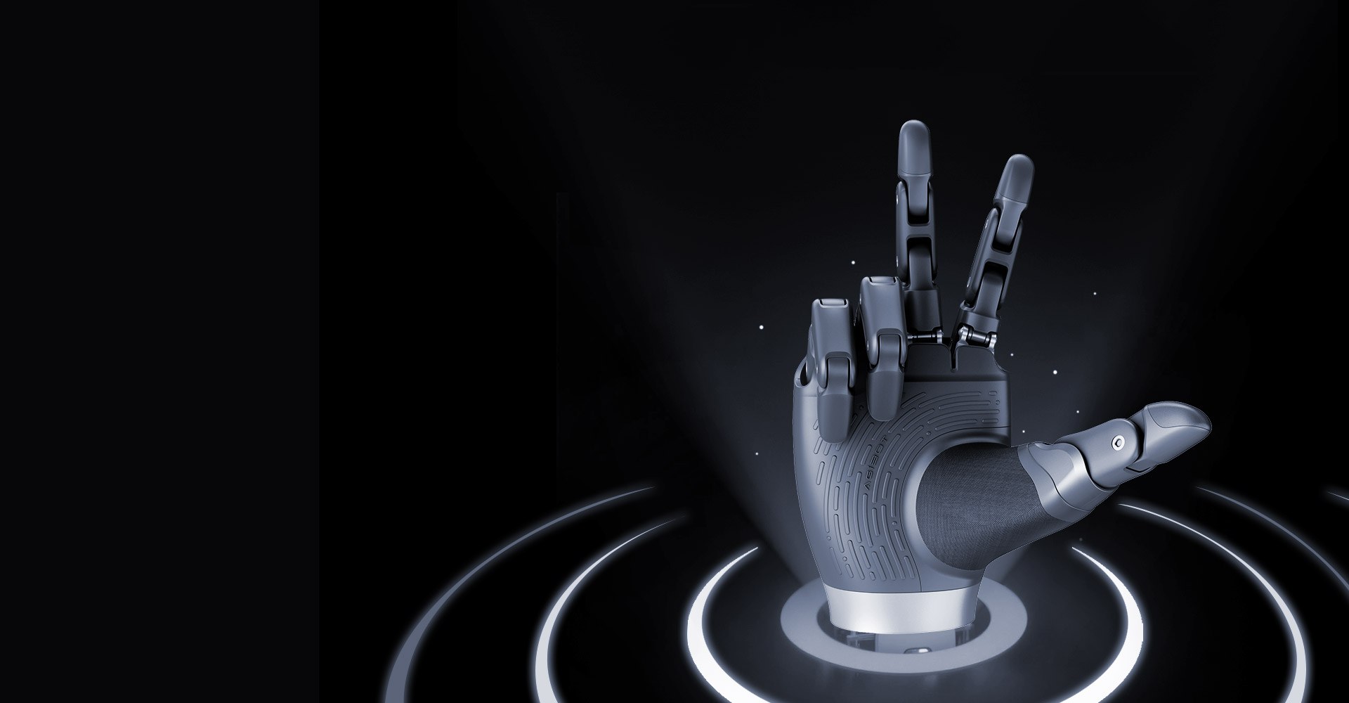 OmniHand O12