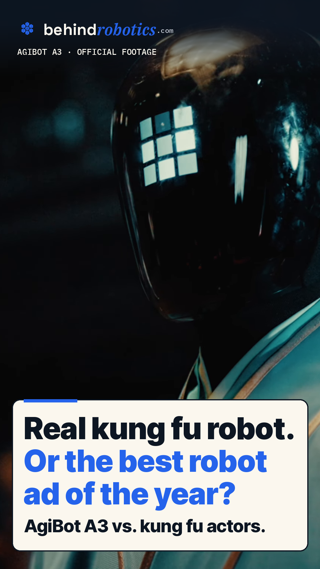 Real kung fu robot, or the best robot ad of the year?