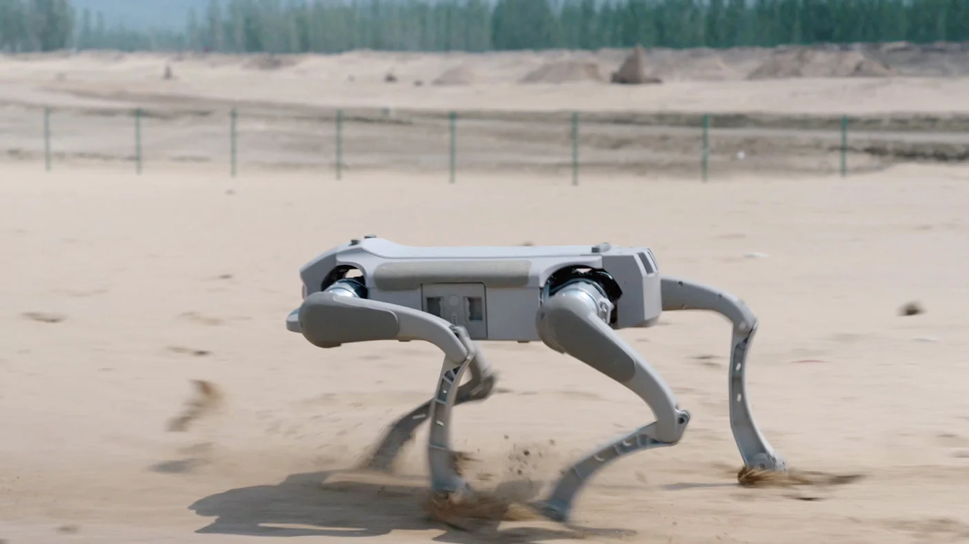 L1 on sand