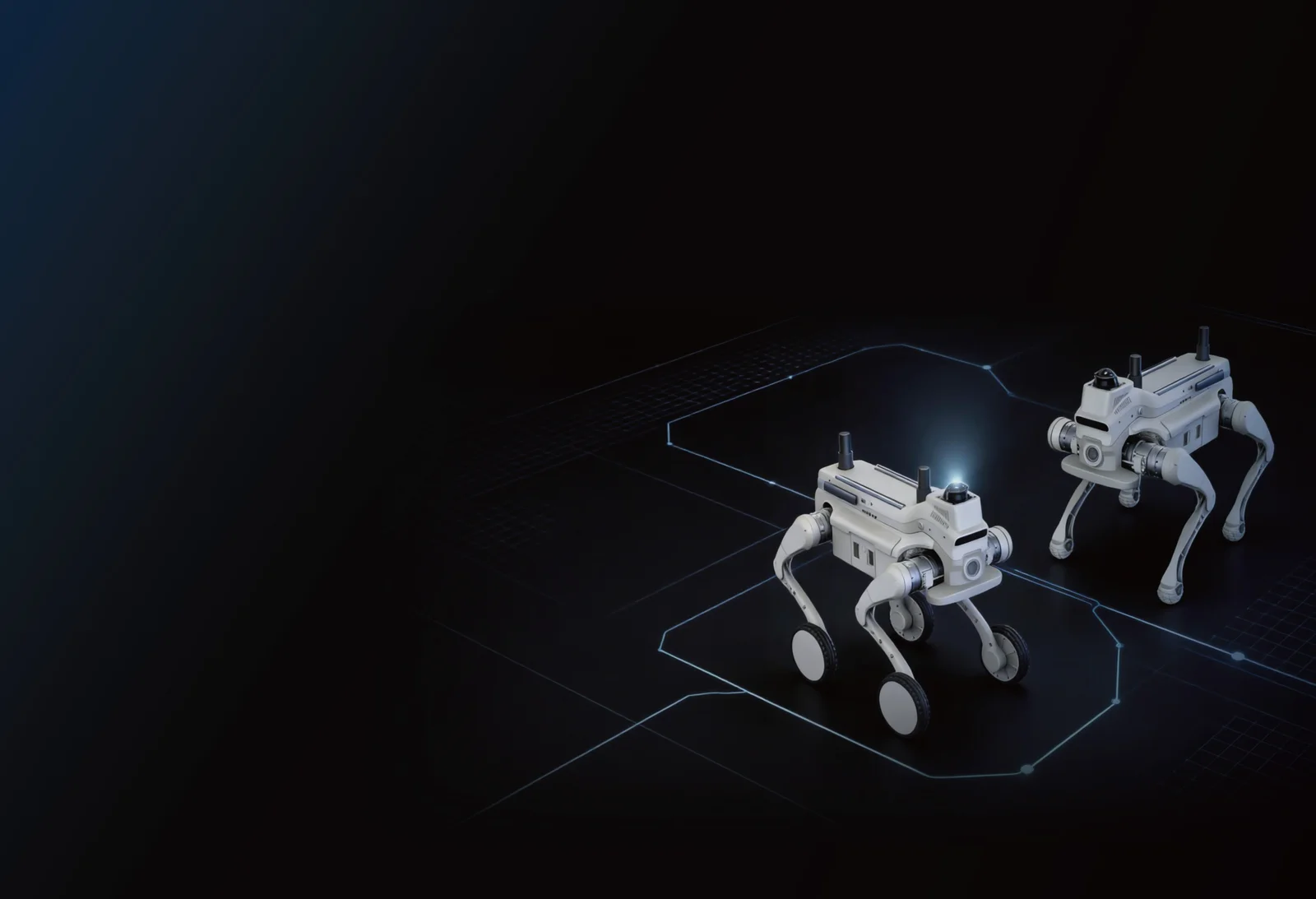 L1 EDU and L1-W EDU