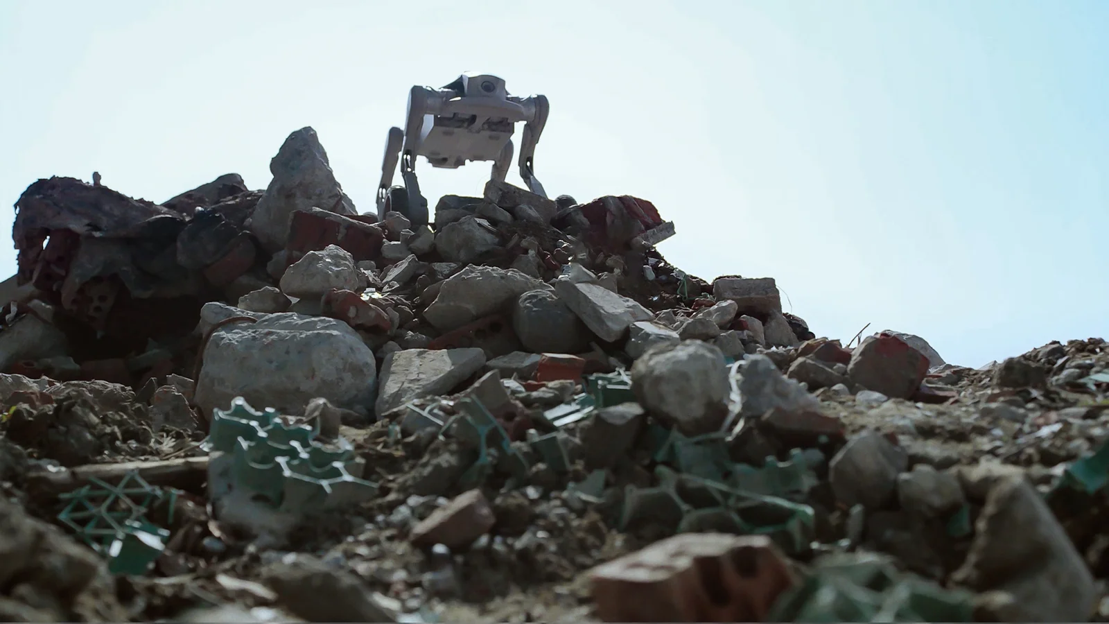L1-W on rocks