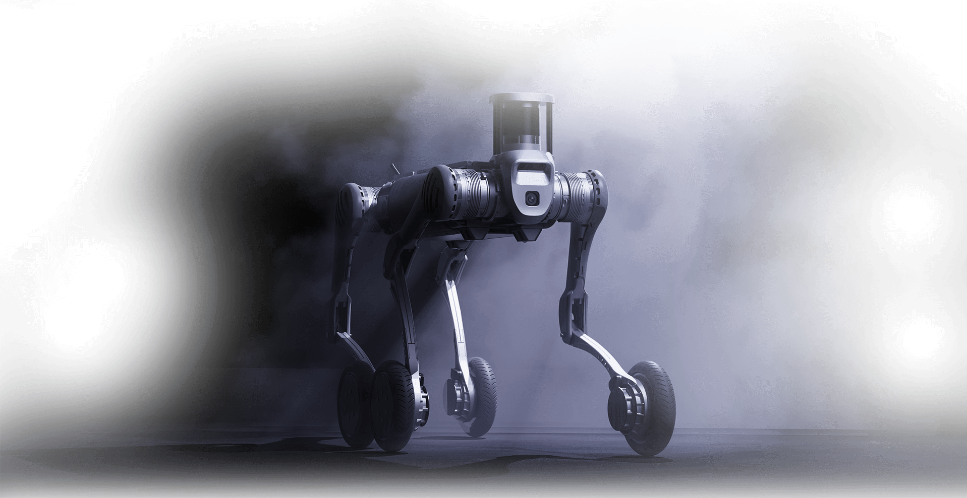 B2-W